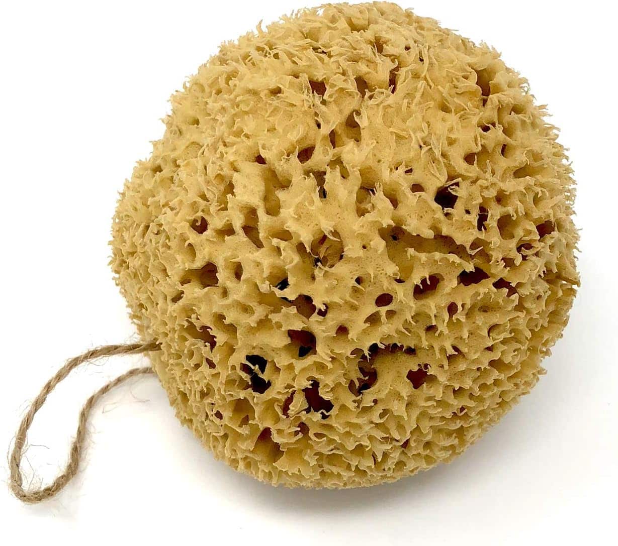 A whole round natural sea sponge with a jute hanging cord