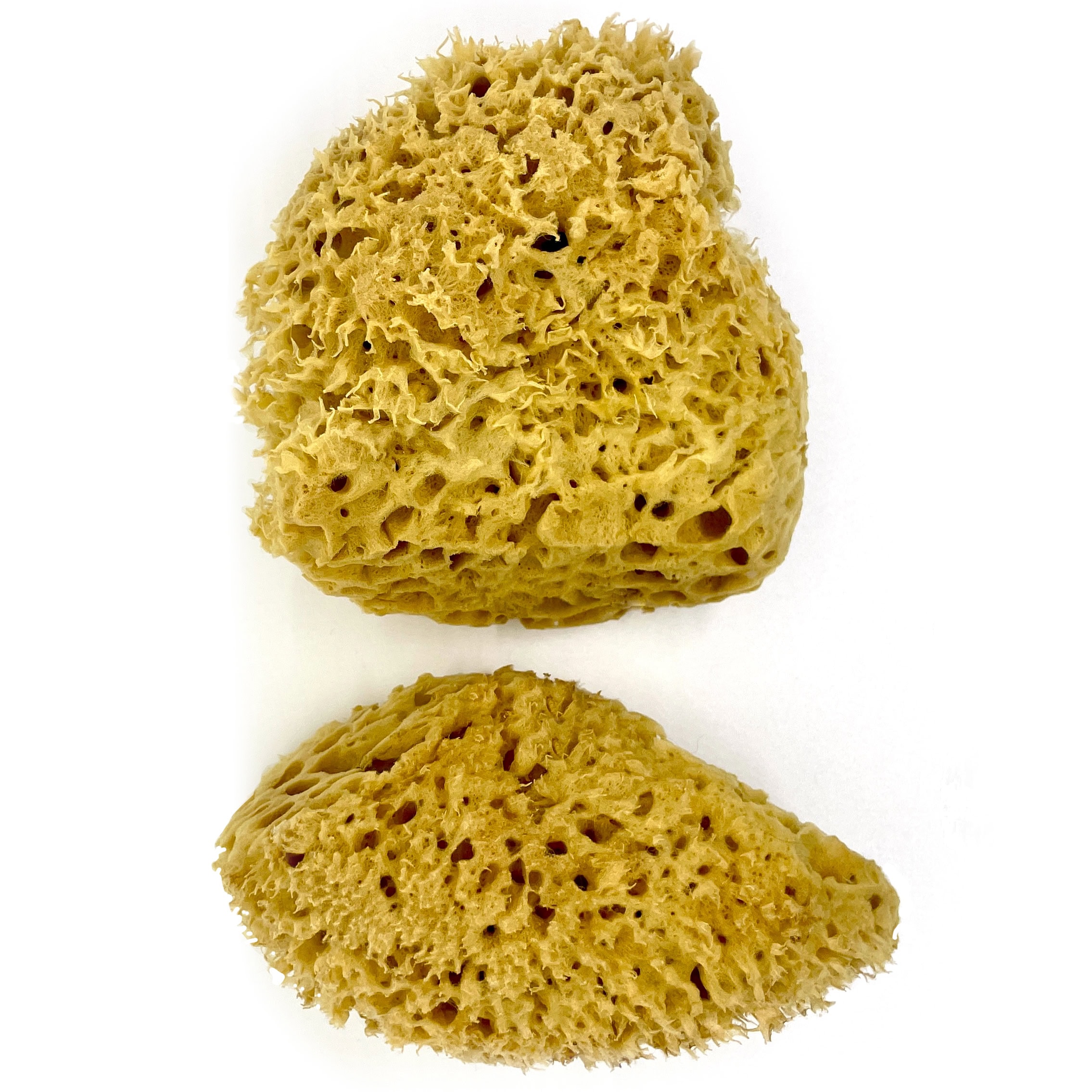 pack of 2 natural art sponges for painting