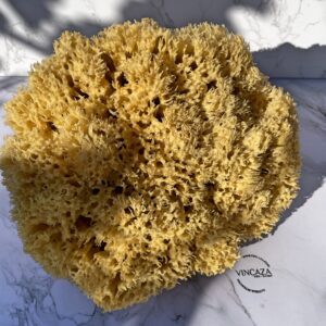 sea-sponge-22cm-vincaza