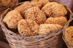 sea sponges in basket