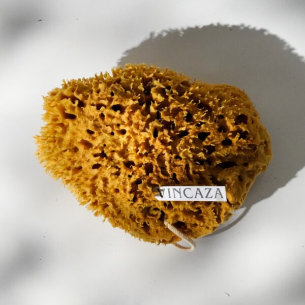 art natural sponge