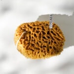 Natural Art Sponge - Ocean Sea Sponge for Painting (XL, 16-18cm)