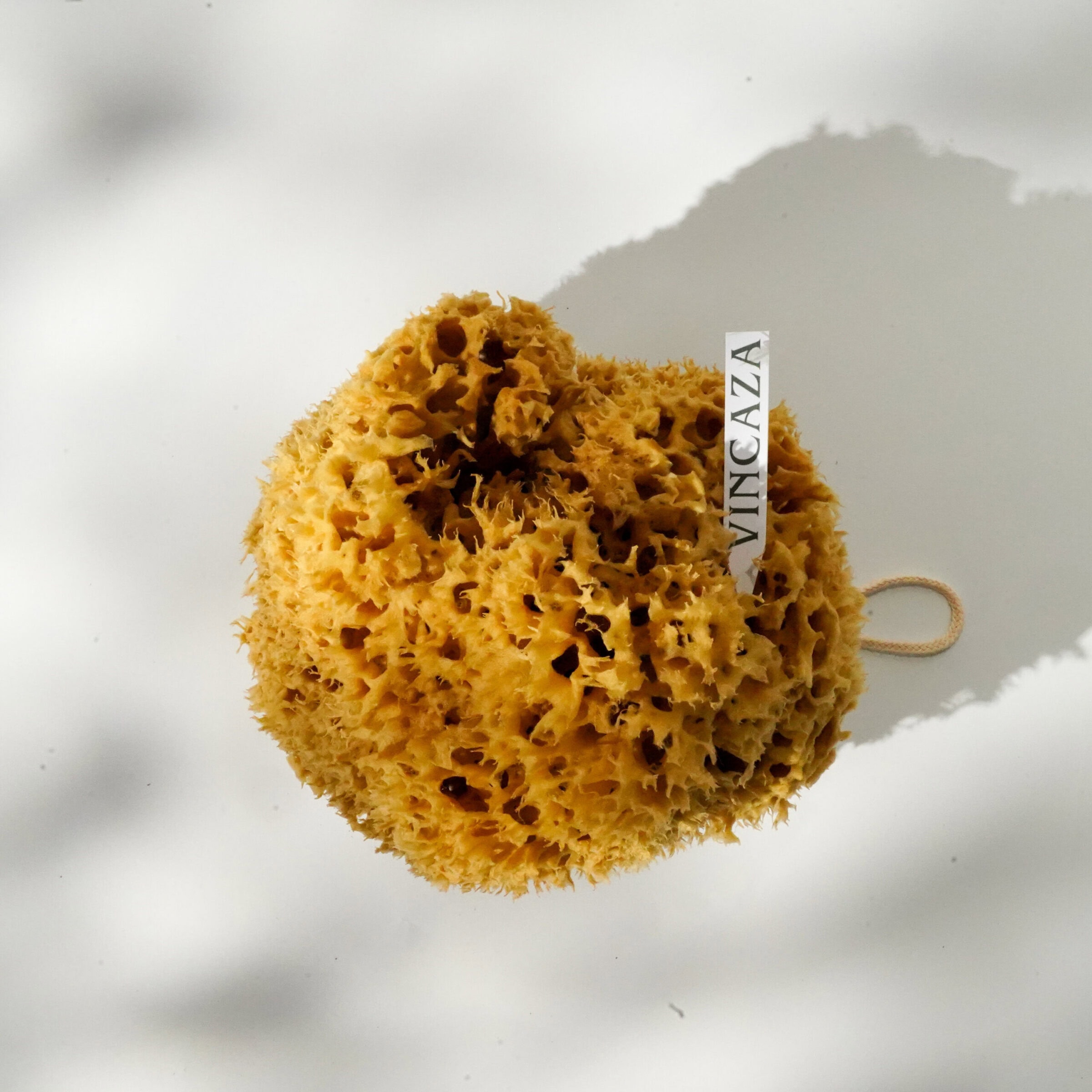 sea sponge for artist