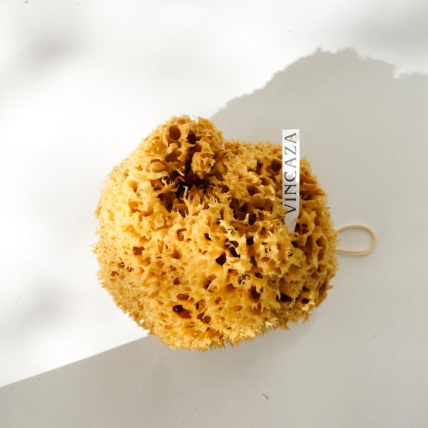 Natural Baby Sponge for Babies and Infants (10-12 cm) - Image 5