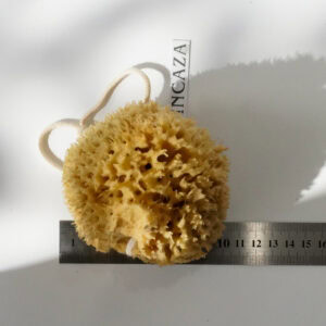 natural sponge for baby bath