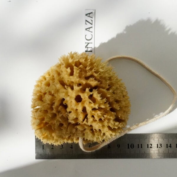 natural sponge for baby bath