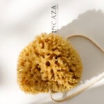 Natural Baby Sponge for Babies and Infants (10-12 cm)