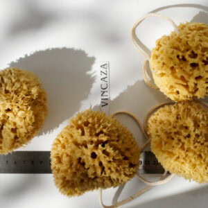 natural sponge for baby bath
