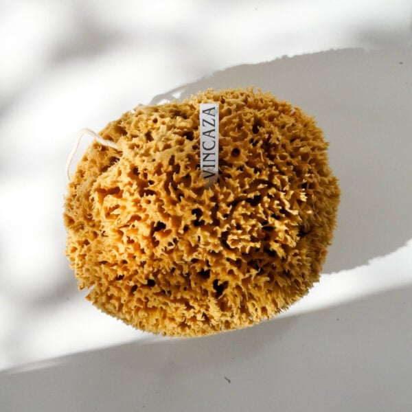 artist sea sponge
