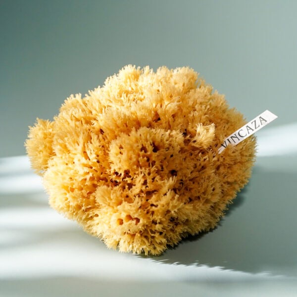 natural sponge xxl