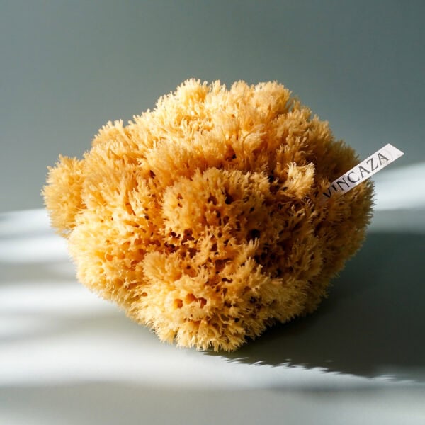 natural sea sponge