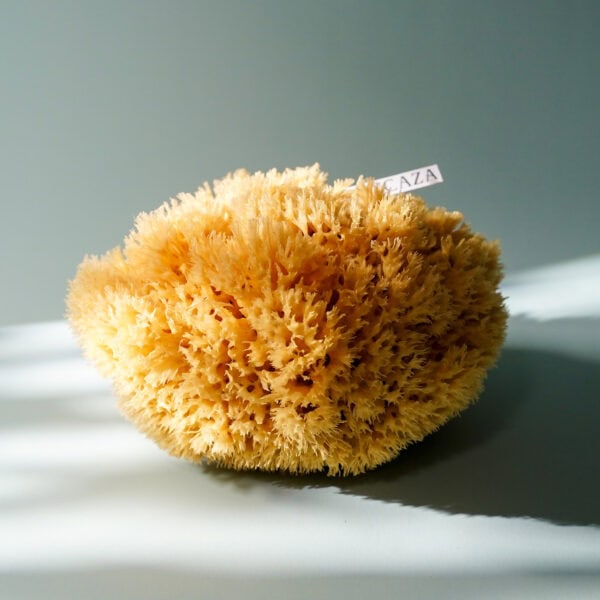 Extra Large Bathroom Sponge (XL 14-17cm) - Image 4