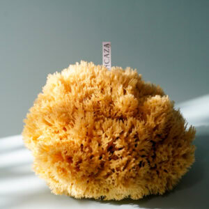 natural sea sponge