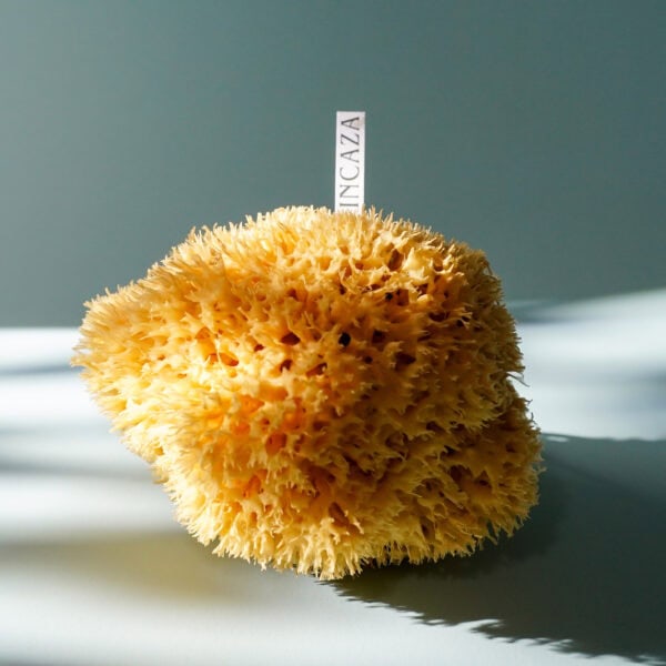 sea sponge for bath