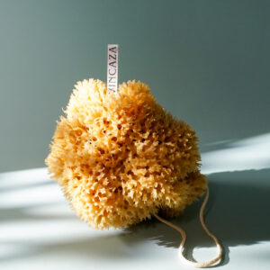 natural sponge