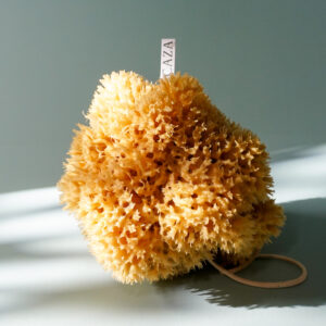 natural sponge