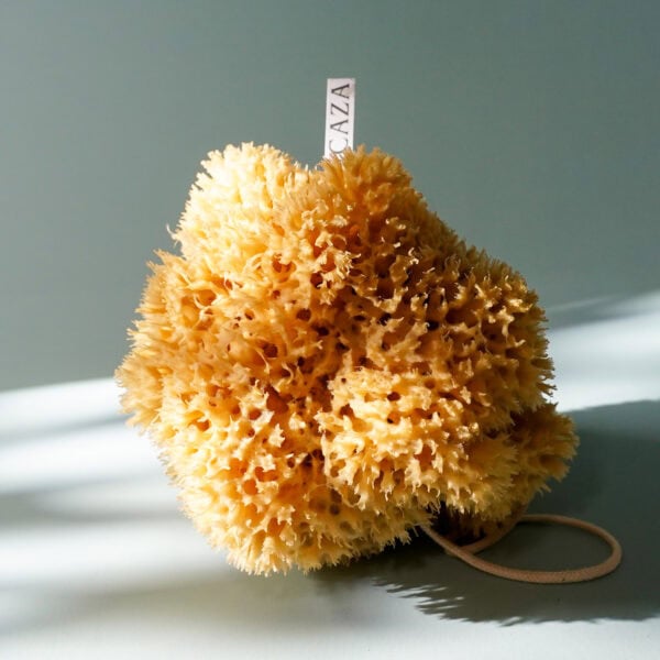 natural sponge