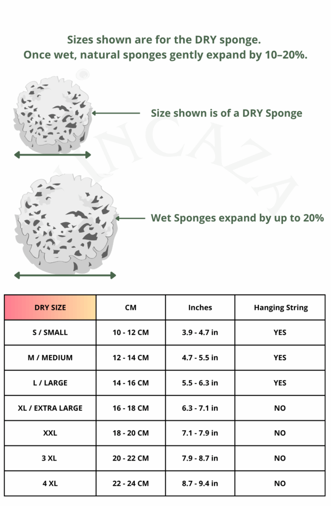 vincaza sponges size guide